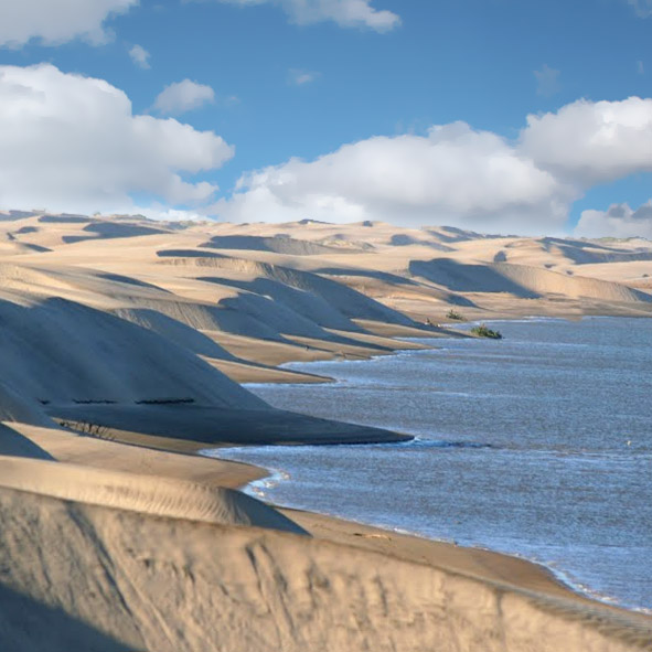 Bahía de Magdalena
